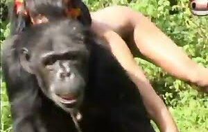 quanto custa um louva deus vivo - Mulheres transando com macaco
